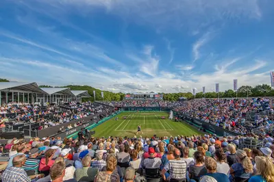 WTA 250 Libema Open preview, draw analysis and match-ups